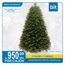 C03 ÁRBOL NAVIDEÑO / COD:25GS025 - 240 - 3055 RAMAS - CJN 1 UND