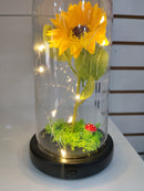 C01 ADORNO GIRASOL EN CUPULA PLASTICA COD: HX010C CJN 60 UND RIMAC