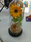 C01 ADORNO GIRASOL CUPULA PLASTICA COD: HX013B CJN 60 UND RIMAC