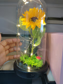 C01 ADORNO GIRASOL DE PLASTICO COD: HX010-C CJN 60 UNID