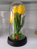 C01 ADORNO TULIPAN EN CUPULA PLASTICA COD: HX020A CJN 60 UNID RIMAC